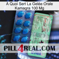 À Quoi Sert La Gelée Orale Kamagra 100 Mg new02